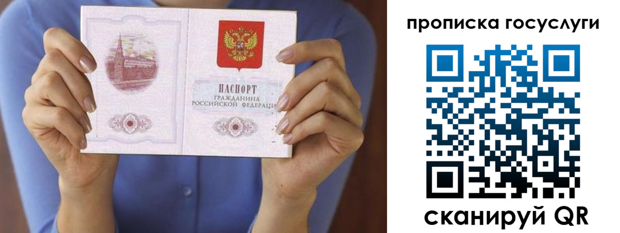 временная регистрация поиск в Свободном